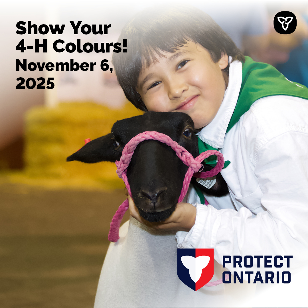 AgricultureON's tweet photo. November 6 is Show Your 4-H Colours Day! 🌱

Ontario proudly supports future agri-food leaders through 4-H Ontario.

Wear green today to celebrate the inspiring work of 4-H clubs across the province!

#OntAg #4HOntario https://t.co/F1U69UIdDt