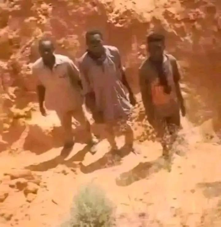 Omimaelsir's tweet photo. أنا من السودان 

في الوقت الذي أقوم فيه بكتابة هذه الرسالة ثمة مواطنٌ يُقتل قصفاً أو تصفيةً ، وآخر جوعاً بسبب الحصار.
الناس في مدينة الفاشر يمـ.ـوتون بأبشع أنواع الطرق ، يبادون دون أي سبب ، لا يستطيعون حتى النزوح إلى اللامكان ، المـ.ـوت يلوح في كل شبر في تلك المدينة https://t.co/AepGPotVBg