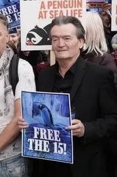 Protect_Wldlife's tweet image. Animal welfare campaigners have called for the release of 15 Penguins &quot;trapped in a basement without sunlight or fresh air&quot; at the Sea Life London Aquarium - with former Undertones singer @Feargal_Sharkey daring the company&apos;s chief executive to swap places with the birds.

The…