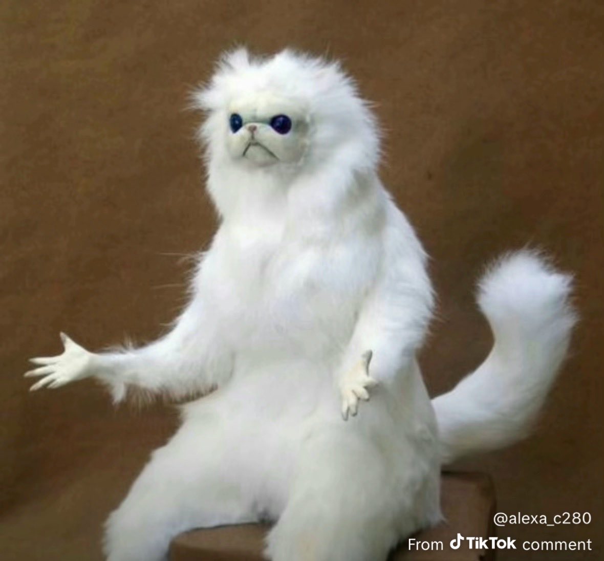 Fam said Im in my bag.😏 😤