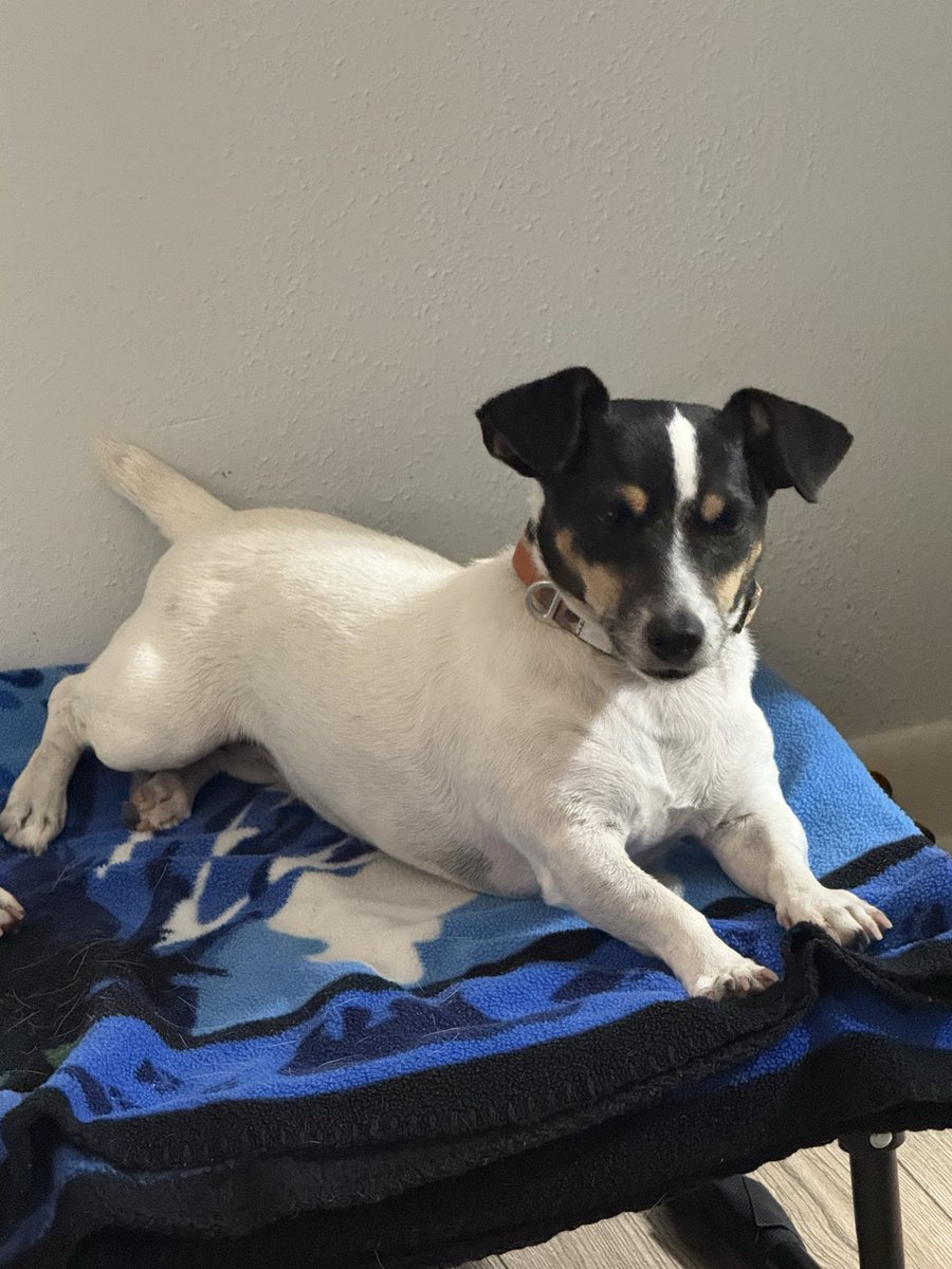 Faustina is ready to go!!!