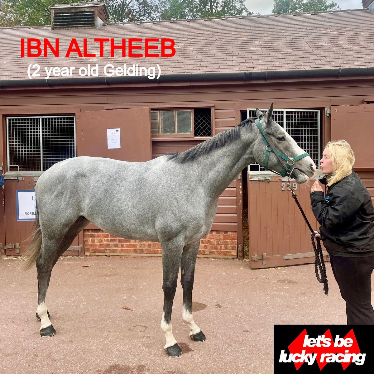 Excited to have purchased 72 rated grey 2 year old winner for just 20,000 Gns. He has plenty of scope and could be anything going forward. Massive thanks to <a href="/TedDurcan/">Ted Durcan</a> for buying him for us and  he will be trained by <a href="/jardineracing/">Iain Jardine Racing</a> 

Website - letsbeluckyracing.com/horses-for-sale