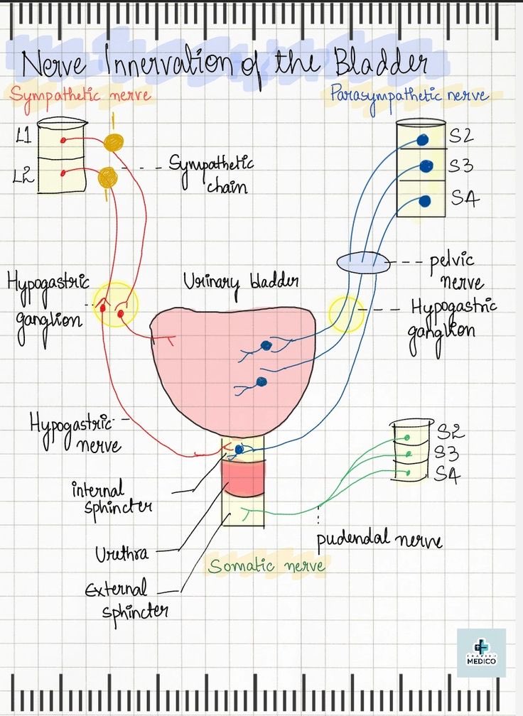 Docma29's tweet image. 