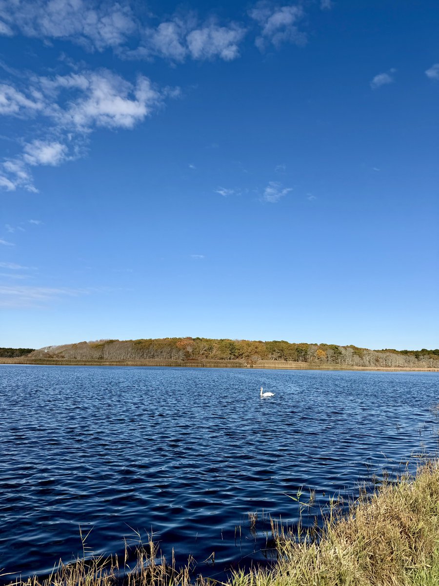 EmersonLotzia's tweet image. the ocean course at new seabury yesterday was fun as hell. great vibes. great weather. great scores. the fellas were dialed in 🎯