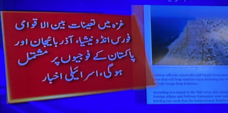 بوٹا tweet media