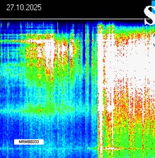 Paul White Gold Eagle tweet media