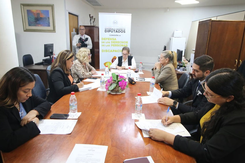 DiputadosPy's tweet image. Apoyan idea de extender transporte gratuito a personas con enfermedades catastróficas

(Redacción: Prensa – Dirección de Comunicación). La Comisión de Defensa de los Derechos de las Personas con Discapacidad, presidida por la diputada Carmen Giménez (ANR-San Pedro), brindó…