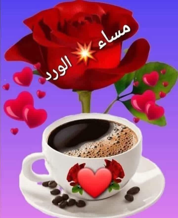 lmstq1457694's tweet image. 💞 مساء الخير💞
🦋بألوان الورود أكتب لكم أجمل الأمانى المسائية 🦋
 وبرقة الورود أرسل لكم أرق التحية وأعذبها  💞
 وبشذى الورود يتعطر مساؤكم 
💞 وبجمال الورود يكون جمال مساؤكم💞🦋 مساء الورد وعطره وعبيره  للناس الأحلى وأغلى من الورد☕❤🌹🌷 🦋