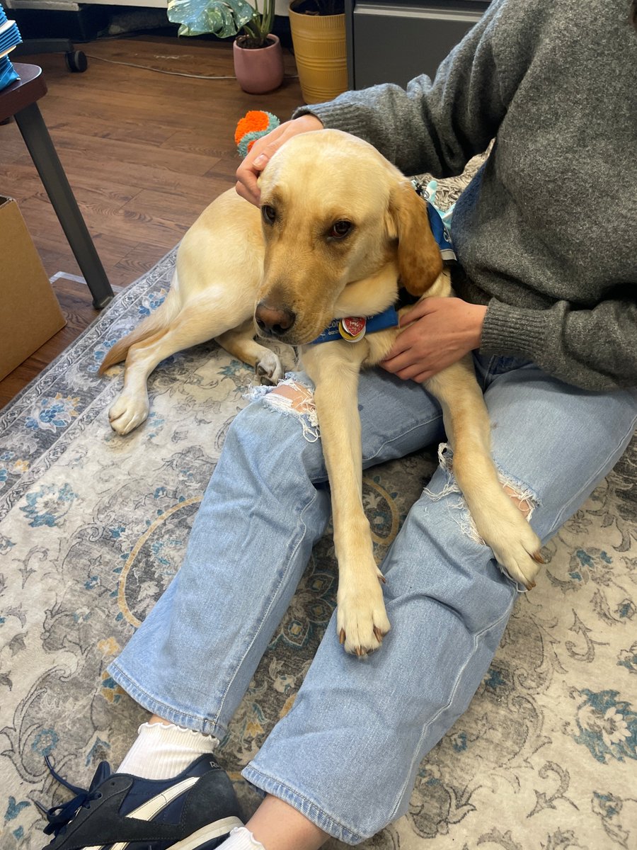 Nassau DA tweet media