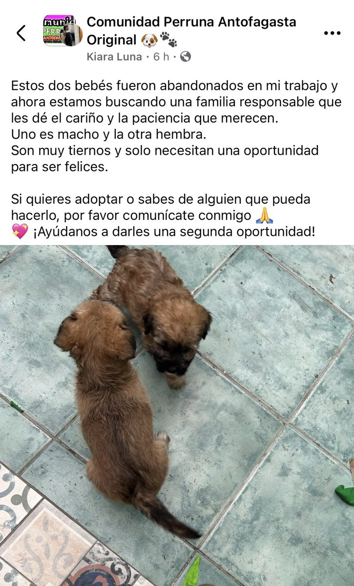 🚨🚨🚨🚨🚨🚨🚨🚨🚨🚨🚨🚨🚨#Antofagasta