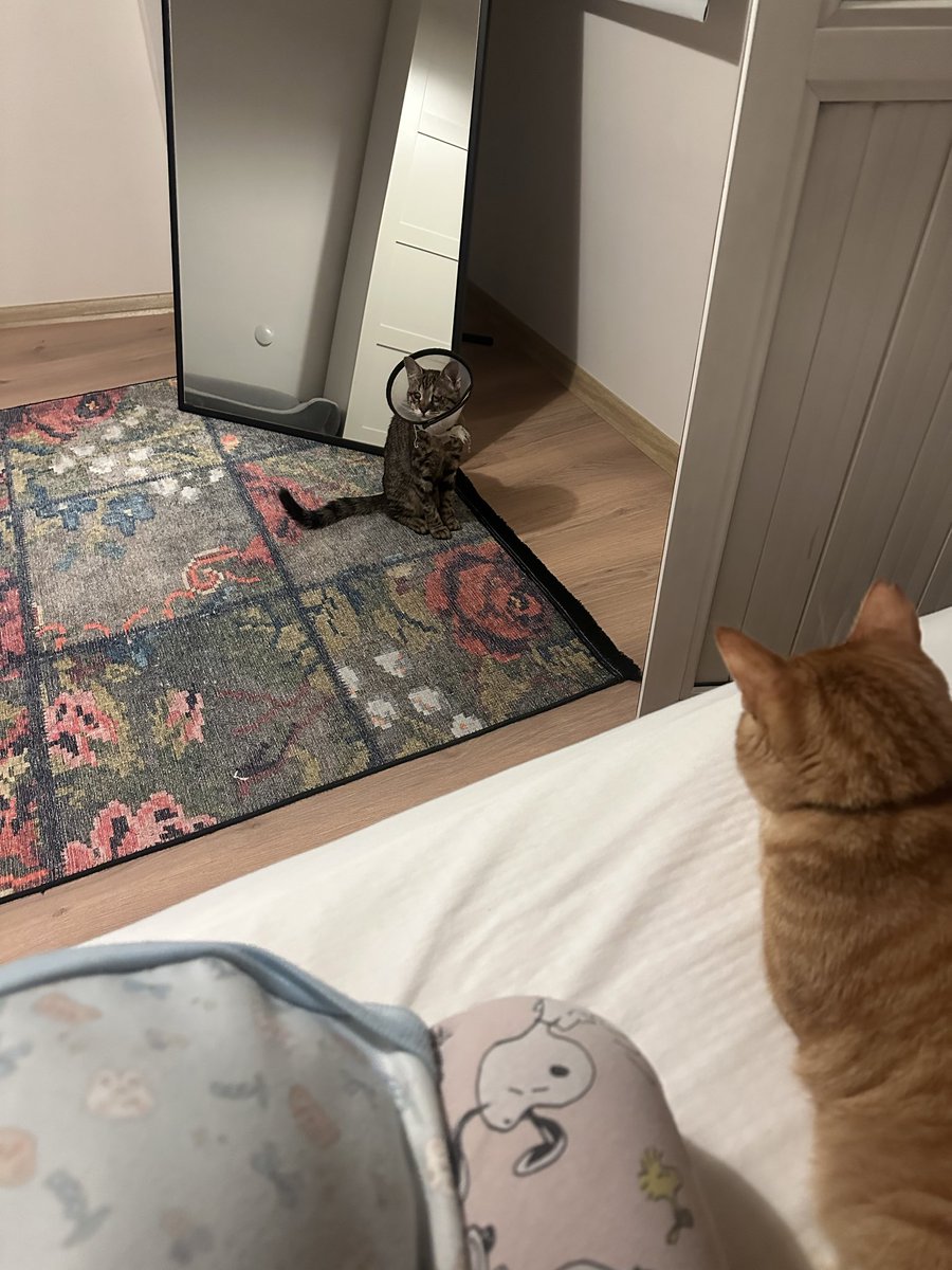 Kucakta biri, yanımda biri, yerde diğeri…Kısa süreli ateşkes anısı.