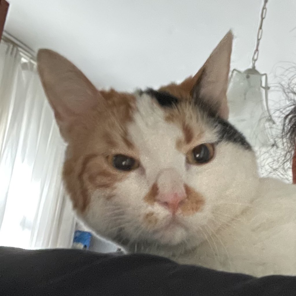 Allahtan istedik olmadı, surat asacak değiliz.