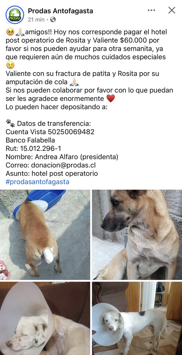 🚨🚨🚨🚨🚨🚨🚨🚨🚨🚨🚨🚨🚨#Antofagasta