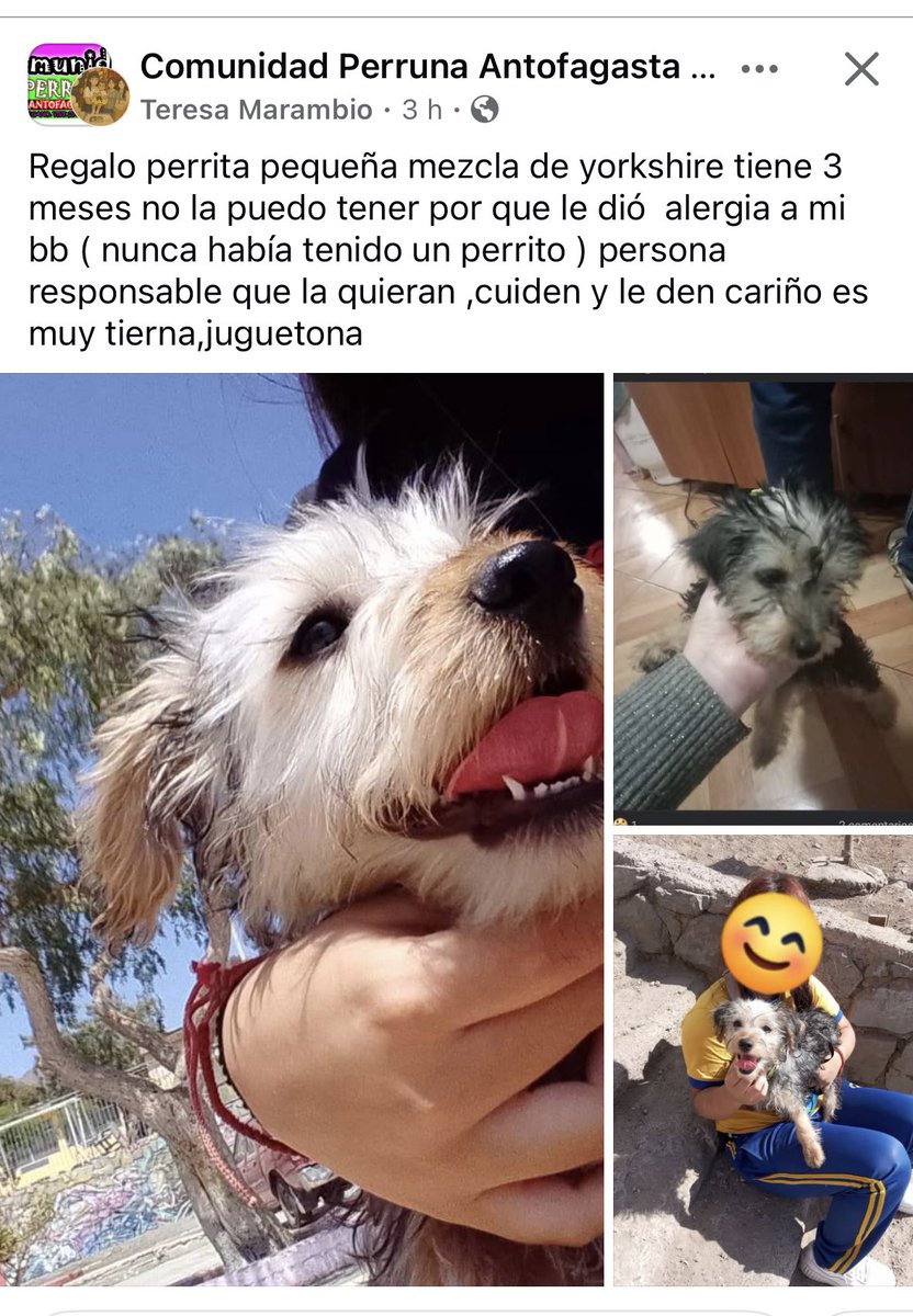 🚨🚨🚨🚨🚨🚨🚨🚨🚨🚨🚨🚨🚨#Antofagasta