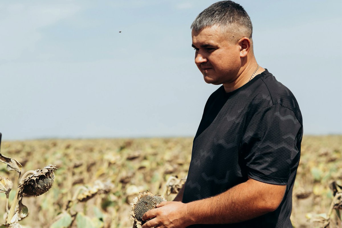 Syngenta's tweet image. When it comes to food security, it’s farmers like Andrii, who plant sunflowers for their oil, that demonstrate extraordinary determination to maintain food production, even in uncertain times and conditions.

Their commitment ensures essential agricultural operations continue, no…