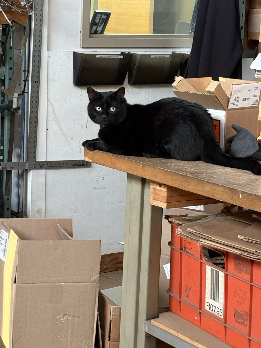 New co worker is pretty chill