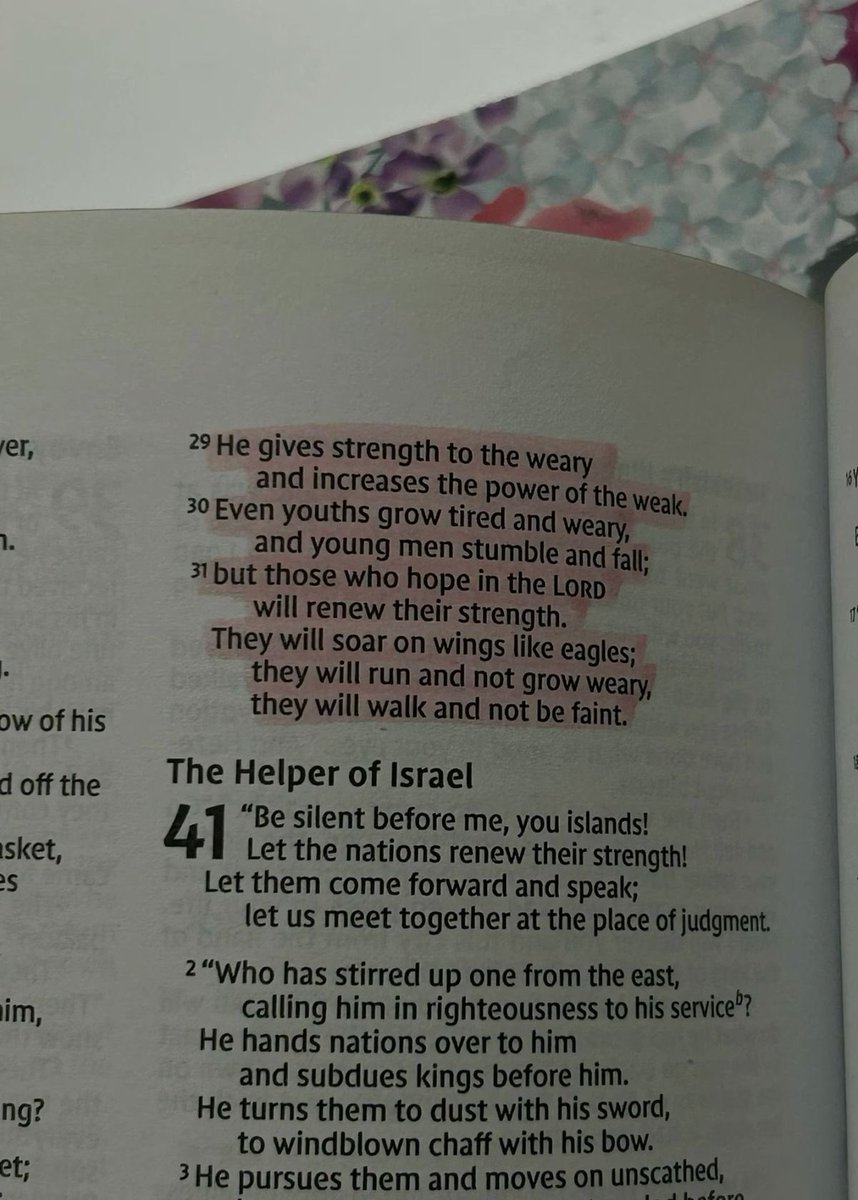 Holy Bible (@holy__bible1) on Twitter photo 