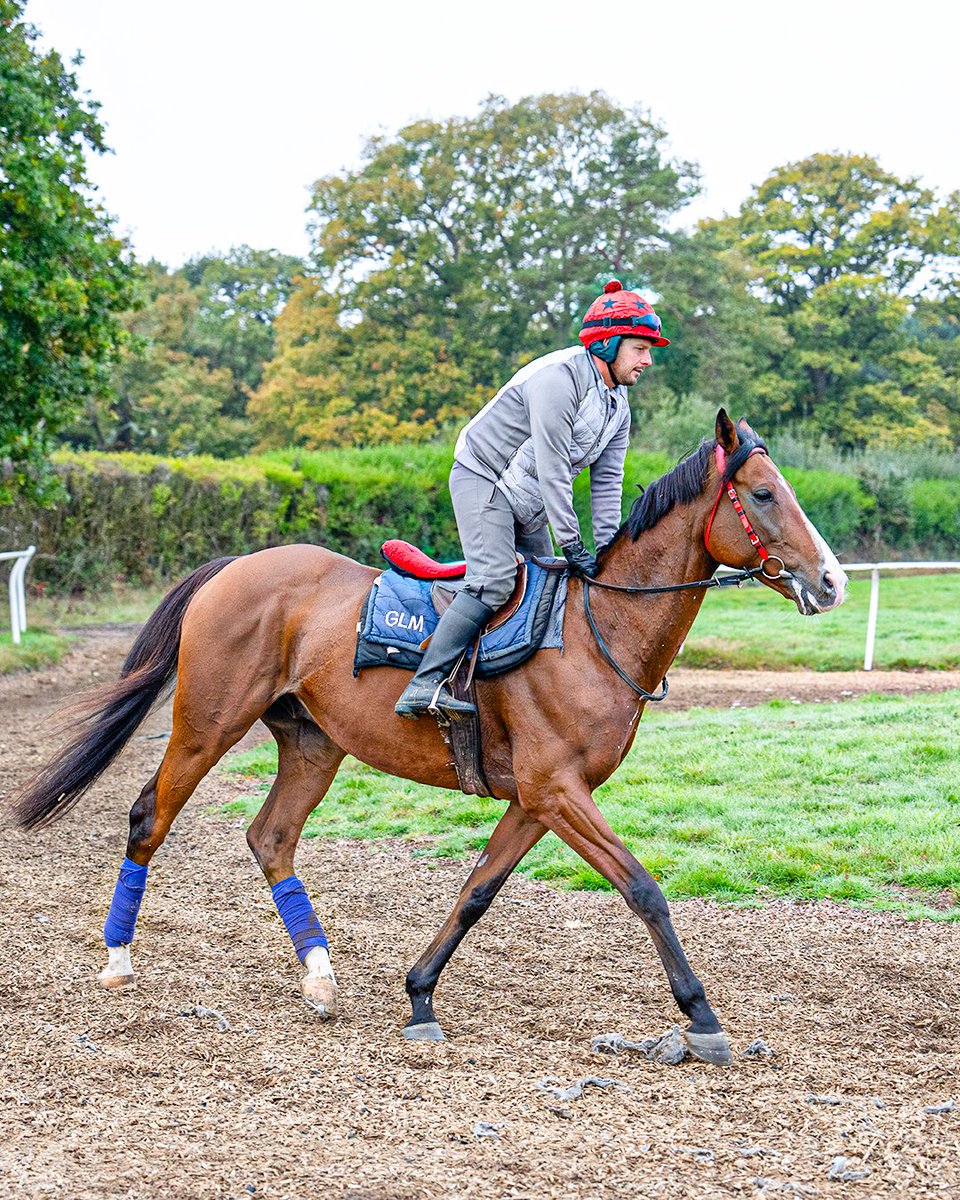 Racing Post tweet media