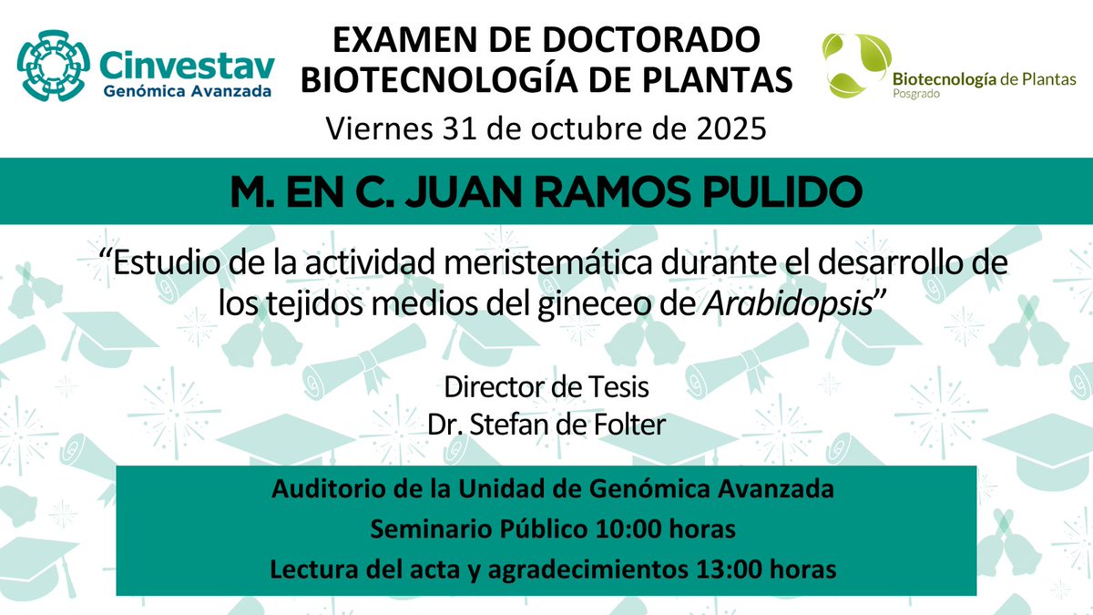 🎓Les invitamos al examen final del M. en C. Juan Ramos Pulido, de Biotecnología de Plantas, para obtener el grado de Doctor.
📅HOY 31 de octubre de 2025
⏰10:00 h Seminario abierto
⏰13:00 h Lectura del acta
📍Auditorio de <a href="/uga_langebio/">Unidad de Genómica Avanzada del Cinvestav</a>
🎊¡FELICIDADES POR ESTE GRAN LOGRO!