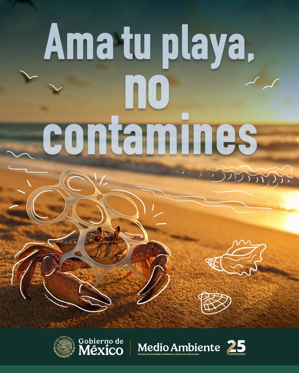 agencia_asea's tweet photo. 🌊🐢 En el cuidado de nuestras playas, ¡participamos todas y todos!

🇲🇽Estados, municipios y comunidades somos parte de esta gran movilización, liderada por @SEMARNAT_mx: la Estrategia Nacional de Limpieza de Playas y Costas.

#AmaTuPlaya #NoContamines #SomosMedioAmbiente https://t.co/dzzKMGkZ6k