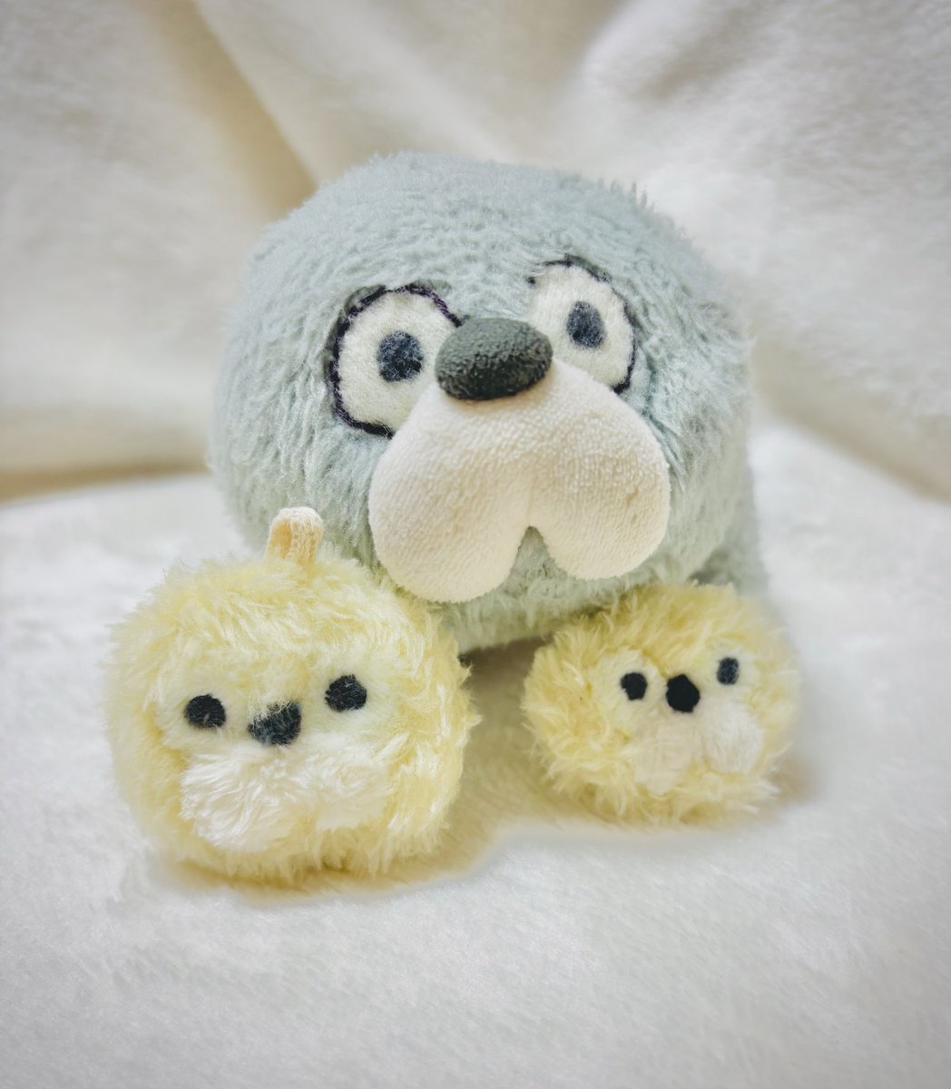 もちもちページ もちもちの on X