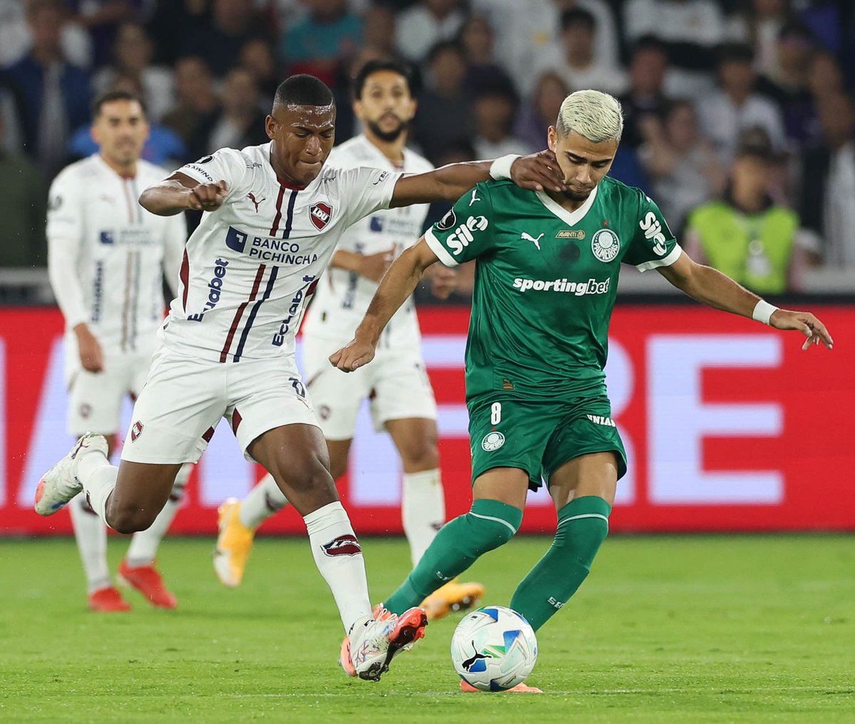 futebol_info's tweet photo. “Eu torço para ter os dois brasileiros na final da Libertadores, mas eu acho que vai ser Palmeiras x Racing. O Palmeiras tem mais condições de virar do que o Flamengo de se classificar.”

“O Flamengo sofreu muito no primeiro jogo, e os times argentinos são peculiares. Lá é muito difícil de jogar. Esse 1 a 0 ficou curto. O Palmeiras tem mais chances, por ter sintético e pegar um time que não tem tanta tradição. O Palmeiras, fazendo um gol ali no 1º tempo, tem totais condições de se classificar. E eles acreditam muito, eu percebo isso. A montanha do Flamengo é bem mais difícil. O Flamengo joga muito bem com a bola, mas na Argentina o jogo é outro.”

🎙️ Rafael Sobis, no Sportv.
📸 Cesar Greco/SEP | Reprodução/Sportv