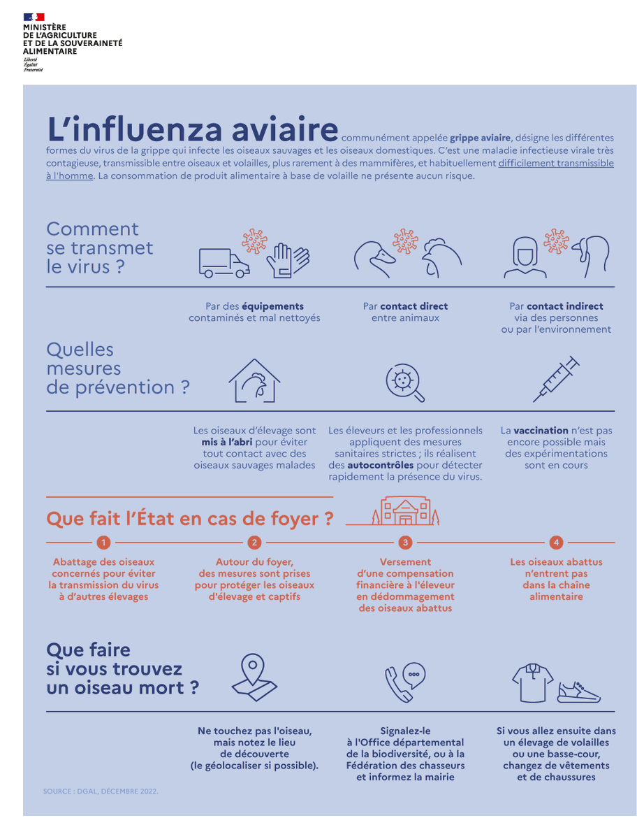 Prefet67's tweet photo. #InfluenzaAviaire 🦆| Le niveau de risque d’influenza aviaire hautement pathogène #IAHP est relevé à « élevé » sur l’ensemble du territoire national.
📍 Dans le #BasRhin, plusieurs cas dans la faune sauvage ont été confirmés.
⚠️ Le @Prefet67 appelle au strict respect des mesures applicables aux élevages et aux particuliers détenteurs d’oiseaux ⬇️
🐓 Pour tous :
• Ne vous approchez pas et ne nourrissez pas des oiseaux sauvages
• Évitez de fréquenter des zones humides (bords des étangs, mares et rivières)
• Ne touchez pas les oiseaux morts ou semblant malades et signalez leur présence à la mairie ou à l'Office français de la biodiversité (@OFBiodiversite)
• Rentrez les volailles et oiseaux en captivité
👨🌾 Pour les professionnels :
• Claustration / mise à l’abri des volailles
• Interdiction des rassemblements d'oiseaux
• Renforcement des mesures de biosécurité
Plus d'info sur :
👉 Communiqué de presse de la préfecture : https://t.co/oXoPGQHt44
👉 Ministère de l'Agriculture : https://t.co/QlPcMC7DUj