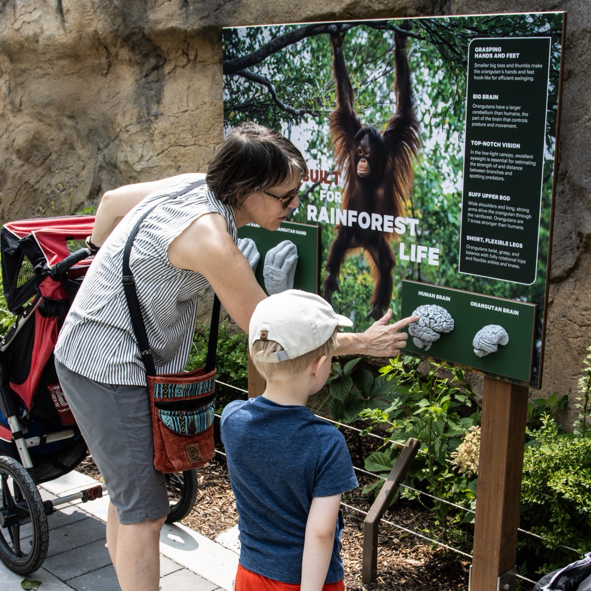 TheTorontoZoo's tweet image. Final call on this #MemberMonday 🎫

Every member who visits your Toronto Zoo before October 31 can enjoy great perks, including bringing one guest for 50% off 🧡

Learn about our full offering of special offers and perks ⬇️
bit.ly/4quIHYn