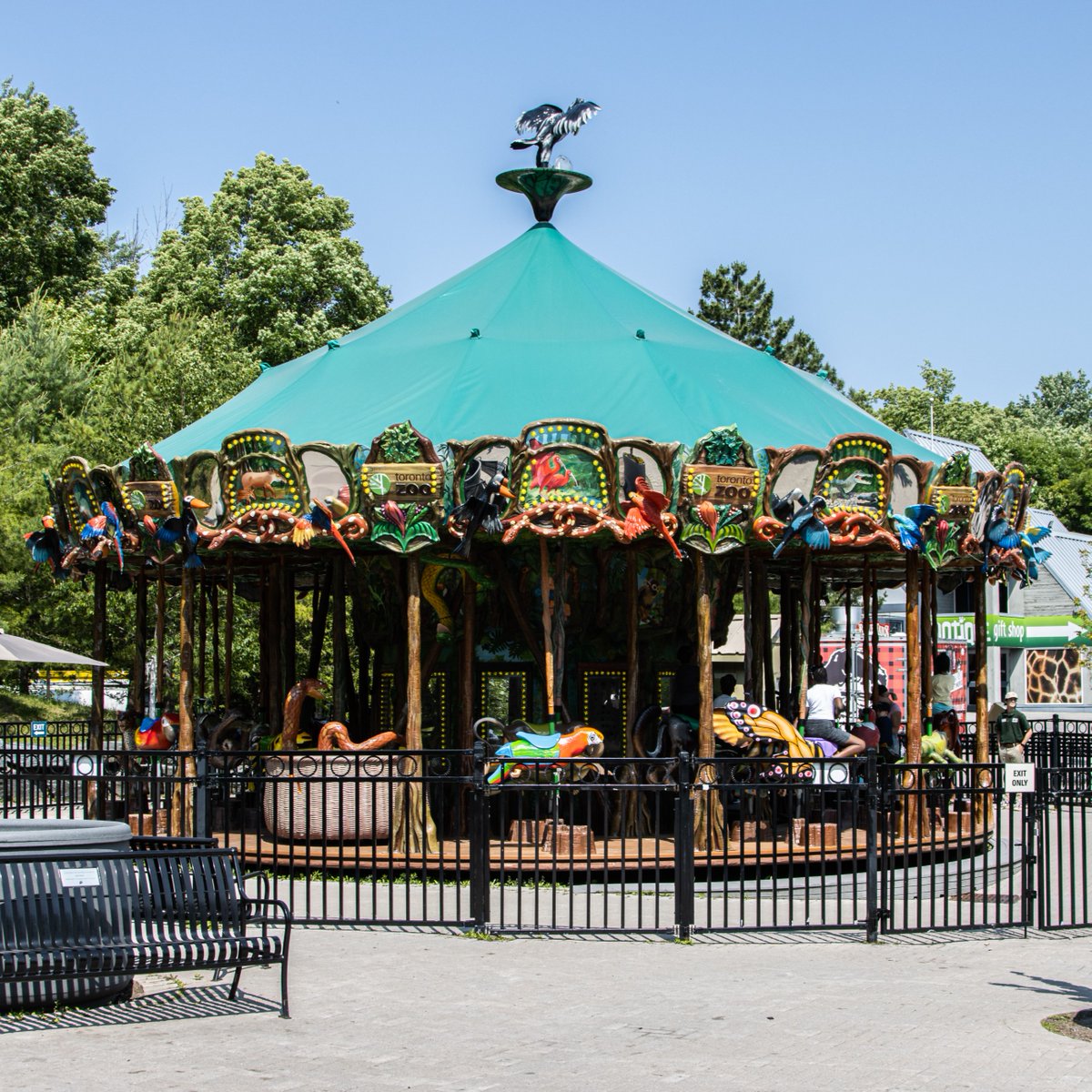 TheTorontoZoo's tweet image. Final call on this #MemberMonday 🎫

Every member who visits your Toronto Zoo before October 31 can enjoy great perks, including bringing one guest for 50% off 🧡

Learn about our full offering of special offers and perks ⬇️
bit.ly/4quIHYn