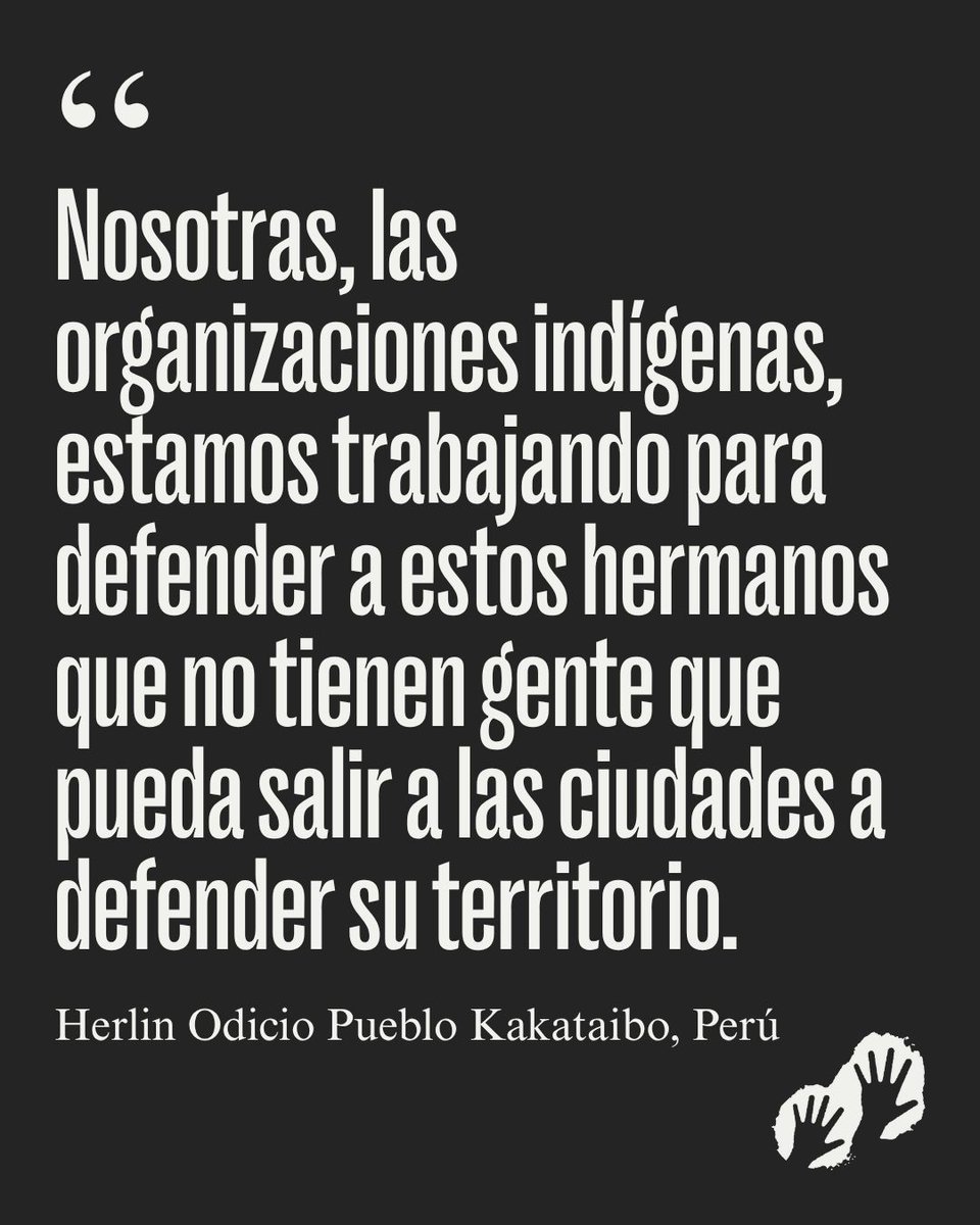 🌍 Hoy presentamos nuestro nuevo informe Resistir para existir: Pueblos indígenas en aislamiento.
Nuestro análisis revela que existen al menos 196 pueblos en aislamiento en todo el mundo, pero la mitad podría desaparecer en apenas una década si no se actúa con urgencia ⬇️