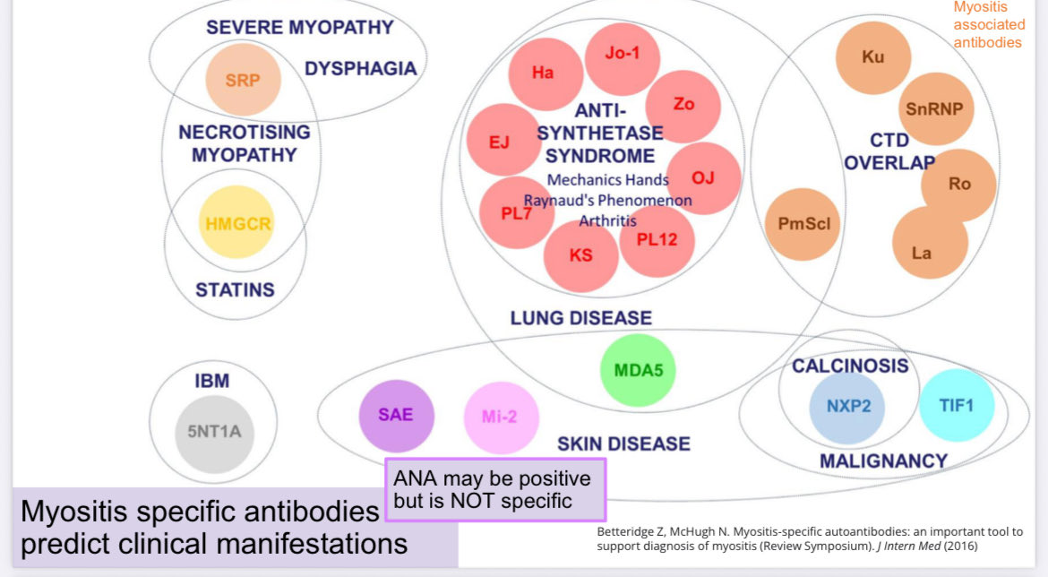 Roxana González tweet media