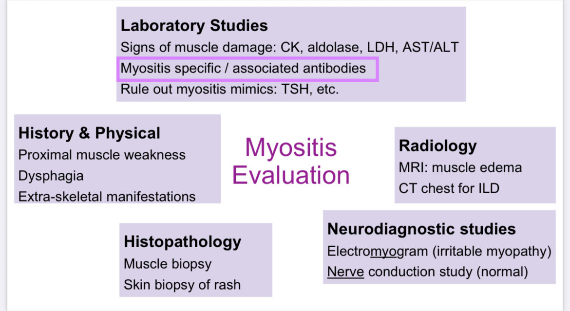 Roxana González tweet media