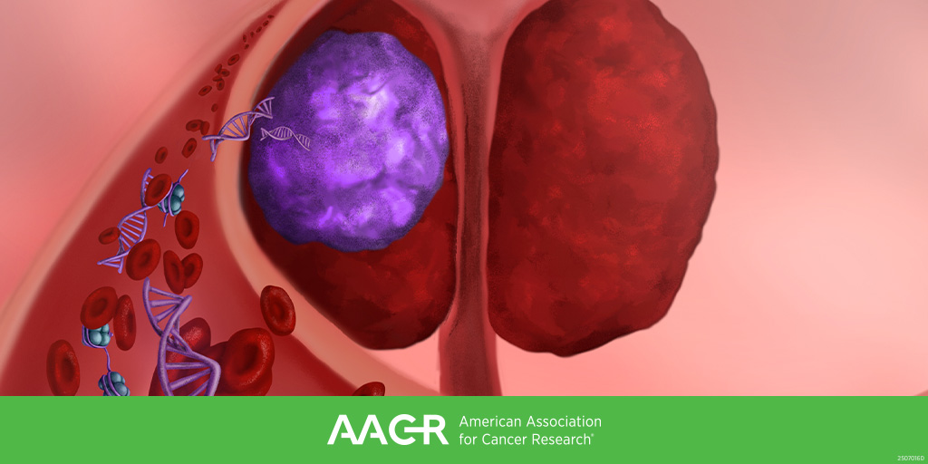AACR's tweet image. Submit an abstract by November 6 for the AACR Conference on Innovations in Prostate Cancer Research and Treatment (Jan 20-22; Boston), chaired by Peter S. Nelson, Elena Castro, Patrick G. Pilié, and Eliezer M. Van Allen.
brnw.ch/21wWYvN
#AACRprostate26 @VanAllenLab
