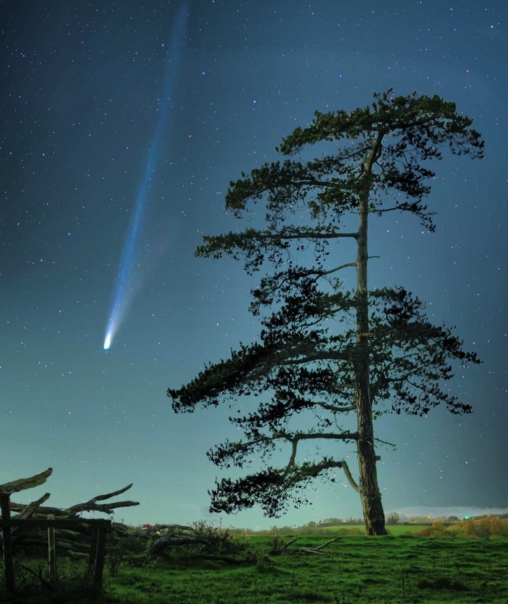 ☄️ Cometa C/2025 A6 (Lemmon) sobre els boscos d’Anglaterra 🌳

📷 Steve Fearn