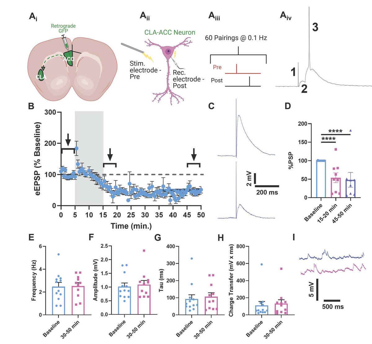 SfN Journals tweet media