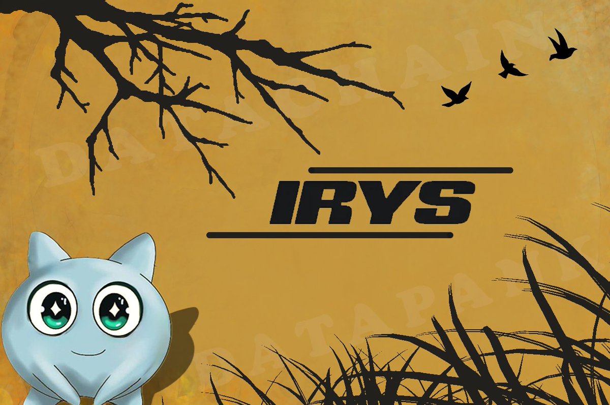 IhorMl's tweet image. Data should no longer be just a repository. 
With @irys_xyz , it moves, changes, and becomes a tool. 
Programmable data chains are not the future; they are here and now. 
#blockchain #programmability #irys