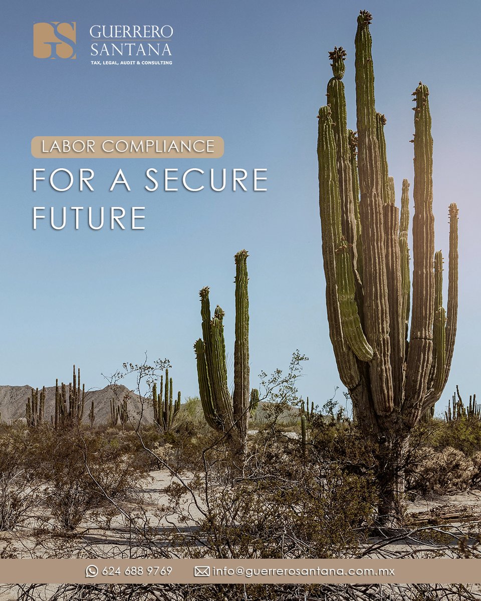 GS_firm's tweet image. At Guerrero Santana, we provide comprehensive labor law advisory services for businesses in Baja California Sur, focusing on recruitment, individual and collective contracts, and dismissal processes. 
📞 Contact us: +52 624 688 9769
#ComprehensiveSolutions
