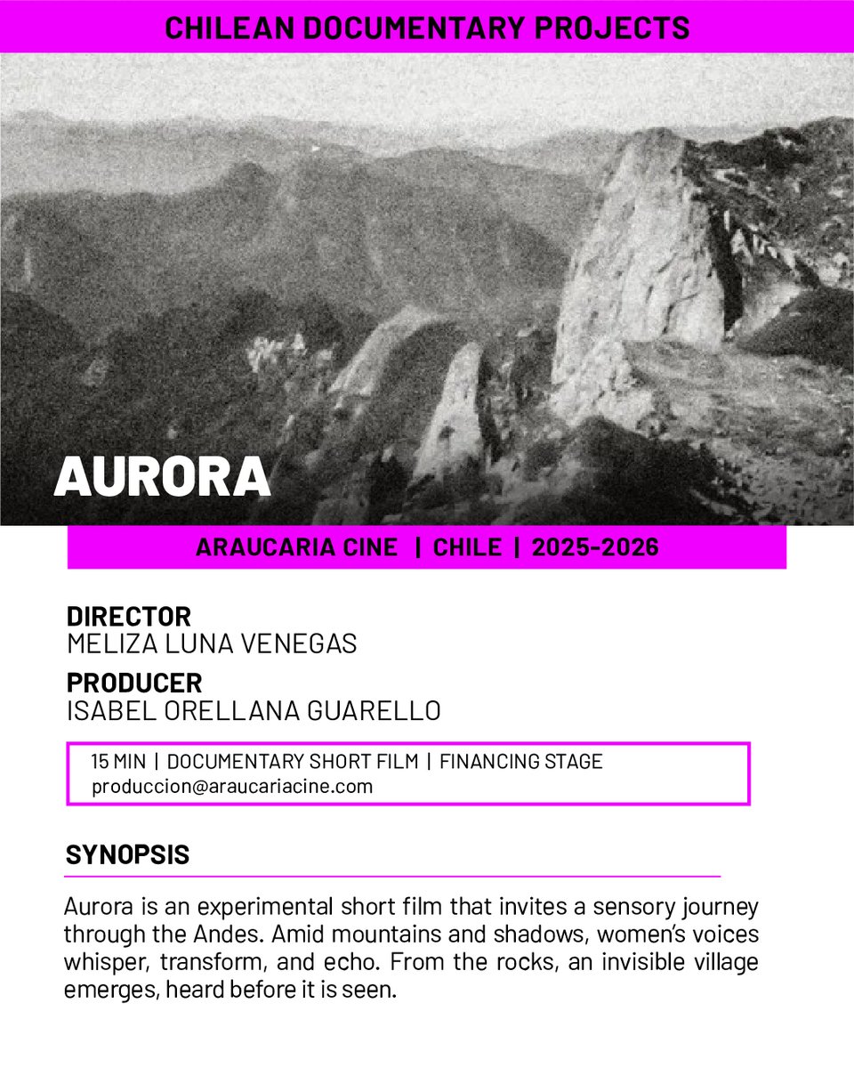 CCDocumental tweet media