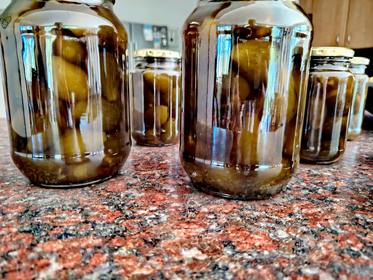 🎄 Groenvye vir Kersfees 🎁
Min dinge bring die geur van vroegsomer so sterk na vore soos die reuk van vars gekookte groenvye.  Kyk! van dorp tot plaas is daar gekóók, en weelderige potjies groenvyegenot het trots hul plek gevind  #groenvye #kersfees #huiswees #bloubakkie