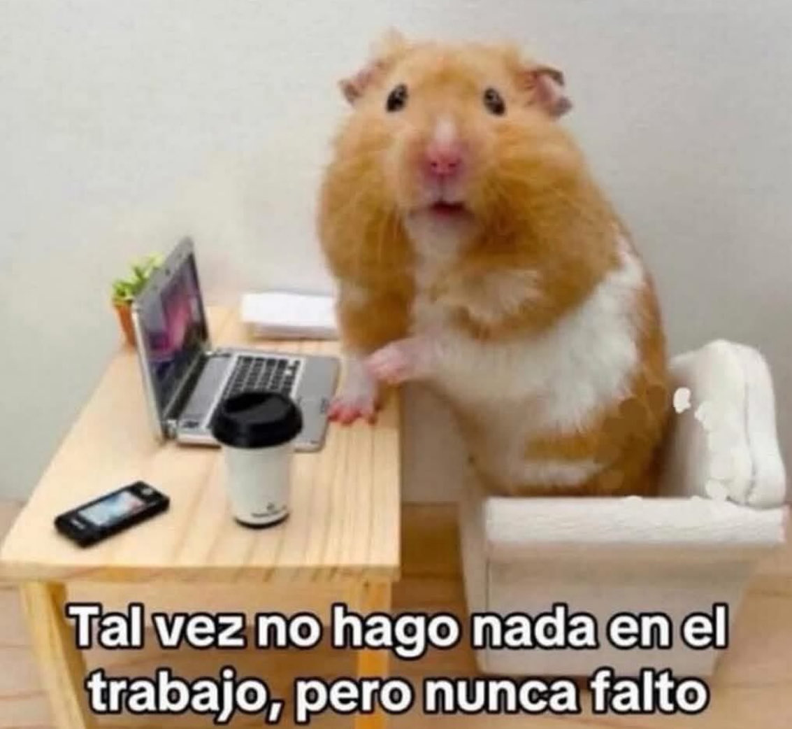 ElPanditaRojo_'s tweet photo. https://t.co/G2ozseoPeo