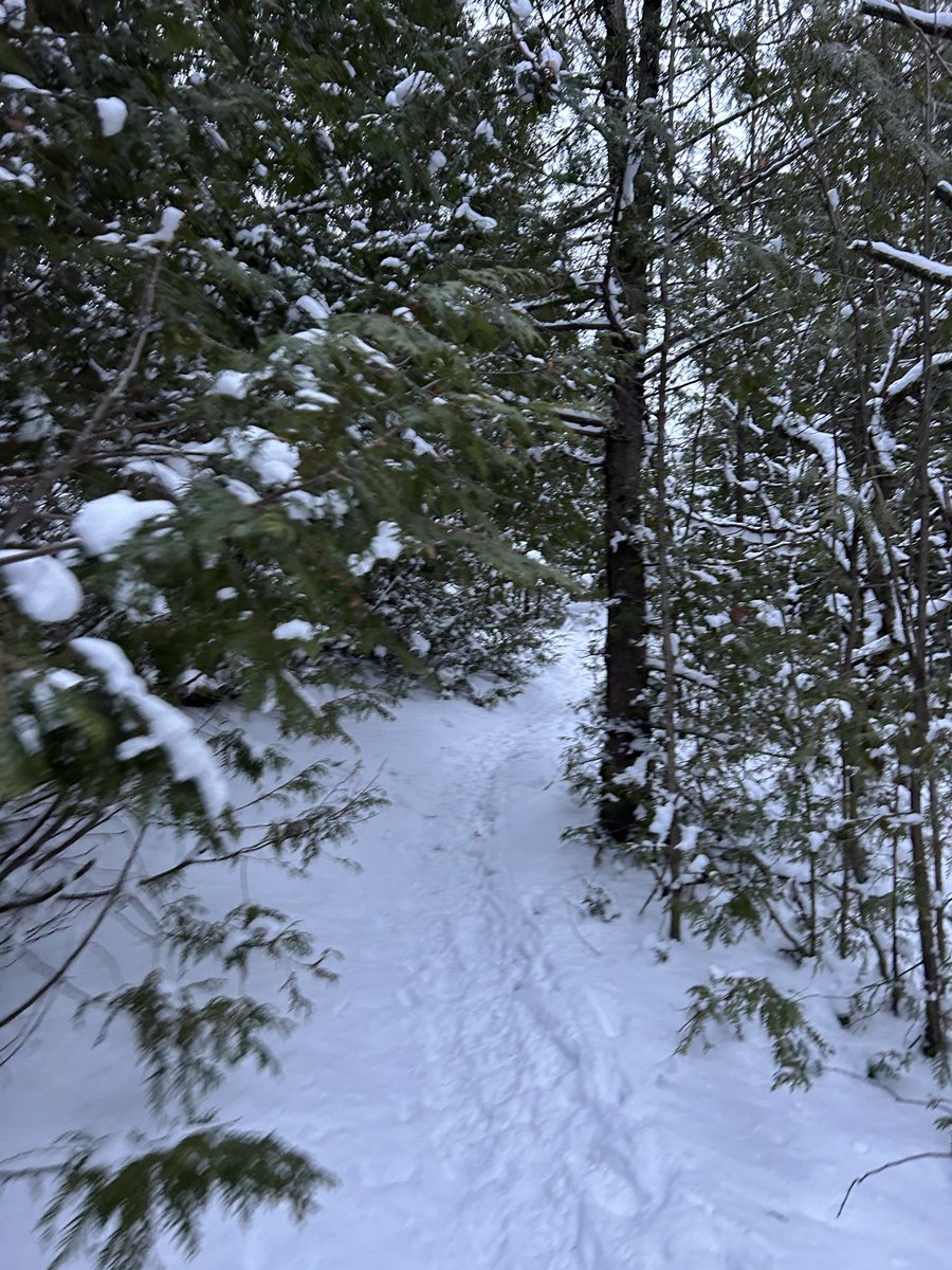 Jordan B. Goldstein | The Athletic Philosopher (@jb_goldstein) on Twitter photo Winter is coming 
Are you getting excited for the adventures 🙌 Winter is coming 
Are you getting excited for the adventures 🙌