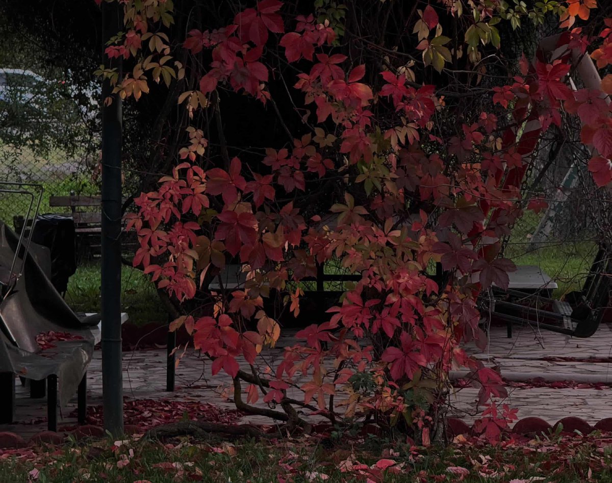 Umudum var çünkü yarınlar Allah’ındır.