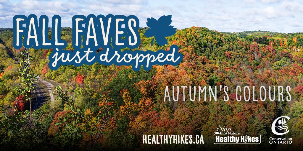 Vibrant colours, crisp trails, and endless ways to explore — hike, bike, jog, or birdwatch your way through the season. Download the Step Into Nature App today! https://ontarioconservationarea s.ca/step-into-natu…

#StepIntoNature #HealthyHikes #ConservationAreas