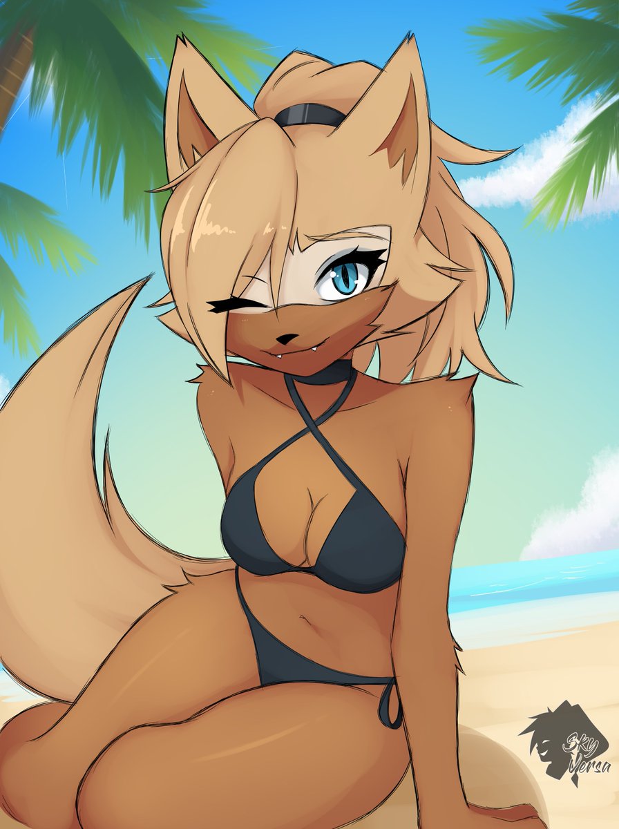 SkyVersa tweet media