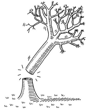 "İnsan nedir bilir misin Olric?
Nedir efendimiz? 
Ağaçları kesip onlardan kâğıt yapan sonra da o kâğıtlara 'ağaçları koruyunuz' yazandır."

Oğuz Atay