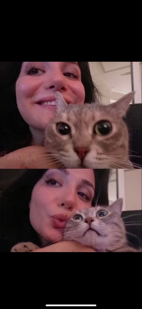 #CerenyiğitiçinAdalet