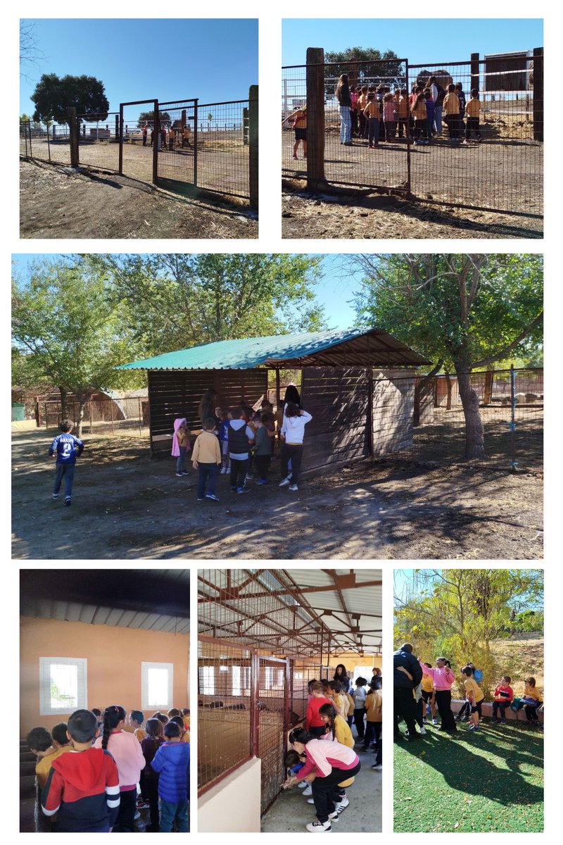 No hay mejor manera de comenzar la semana que esta!
Día ☀️ en la Granja con nuestros peques de 1ºEP. 
Esta tarde van a tener muchas cosas que contar…
🐔🐐🐴🐝
#granja #excursion #EducacionPrimaria
