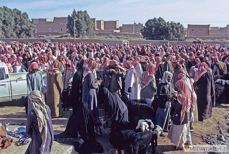 سوق الماشية في مدينة بريدة في منطقة القصيم في المملكة العربية السعودية 1974 م