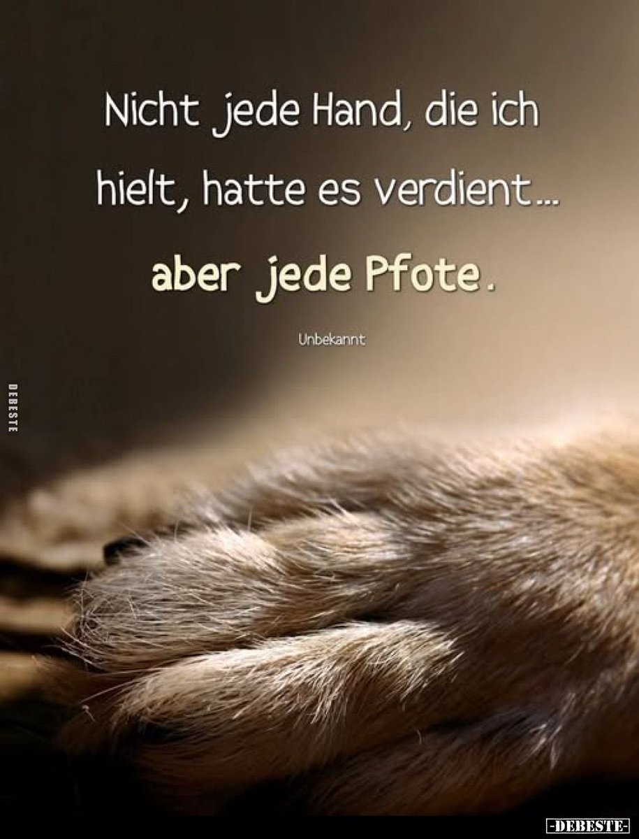 🐈🐕🦔🐇🐂🐑🫏🐎🐐einfach alle Tiere ❤️❤️