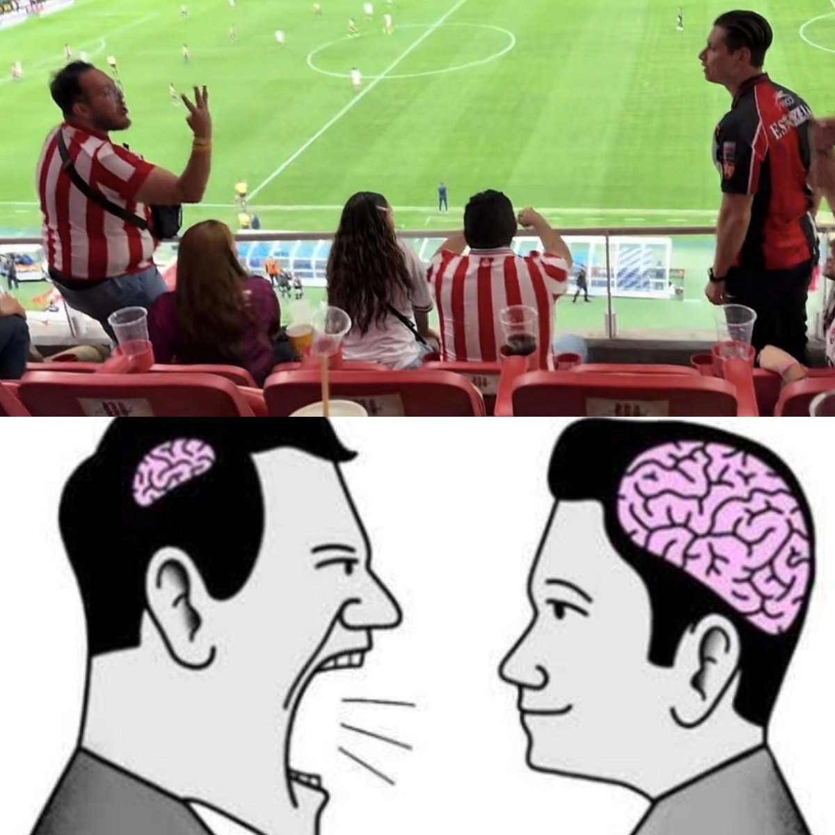 Si que estaban muy frustrados.